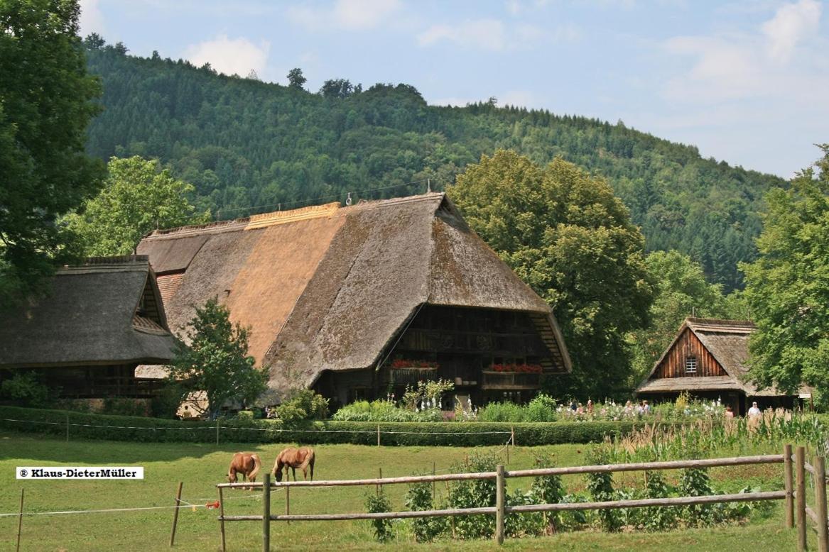 Haus Am Waldrand Triberg im Schwarzwald Exterior foto