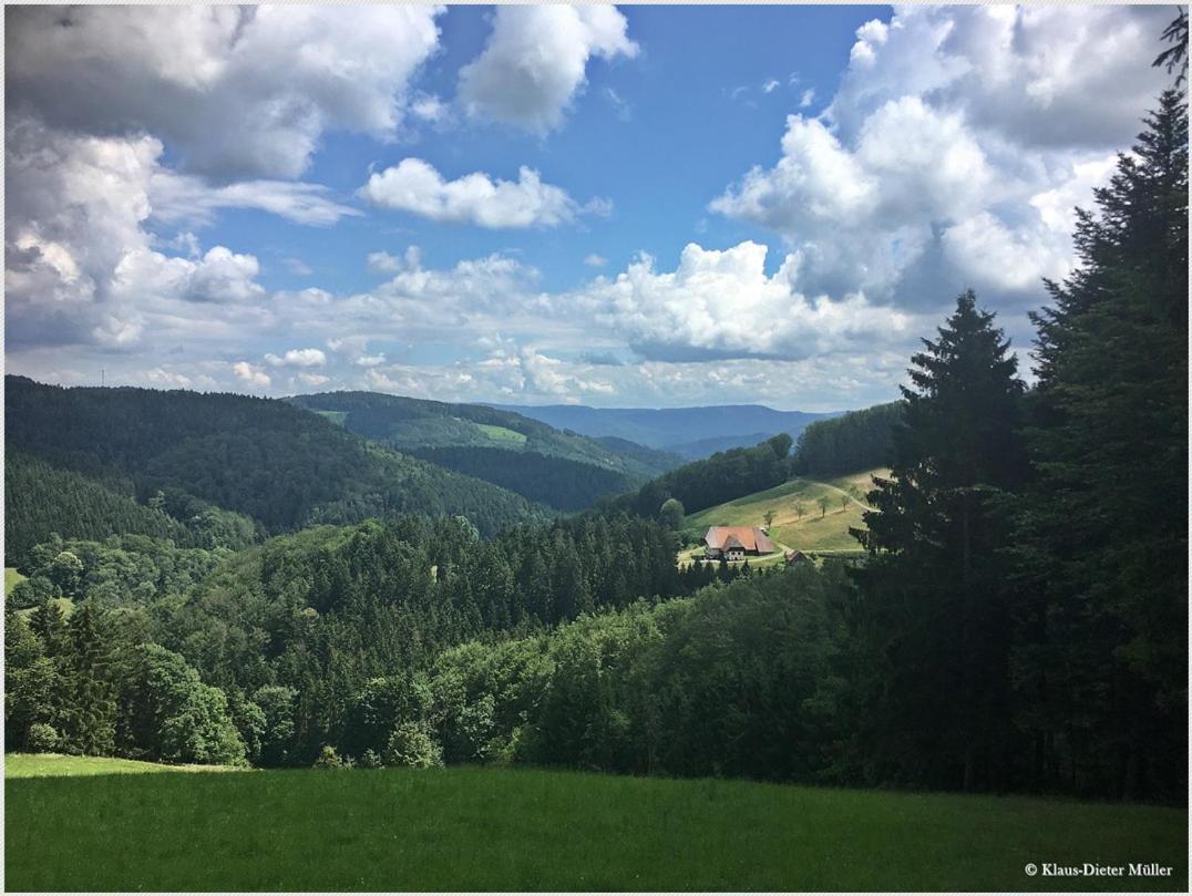 Haus Am Waldrand Triberg im Schwarzwald Exterior foto