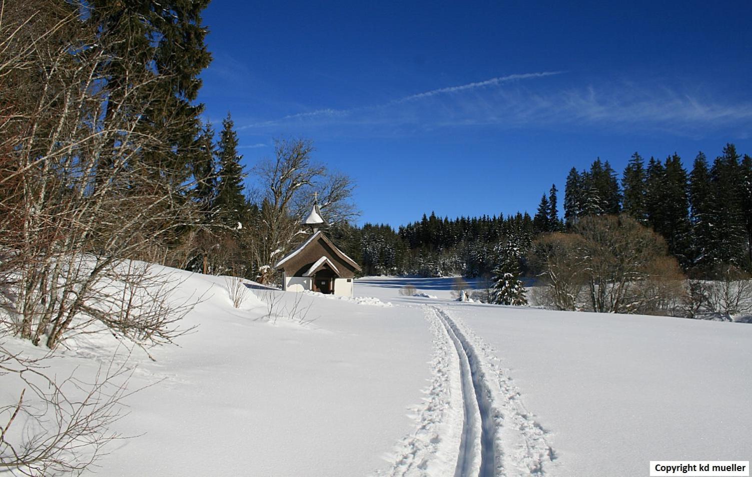 Haus Am Waldrand Triberg im Schwarzwald Exterior foto