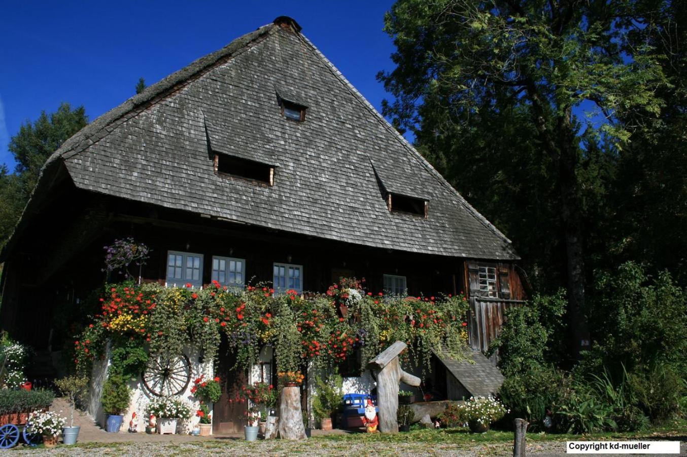 Haus Am Waldrand Triberg im Schwarzwald Exterior foto