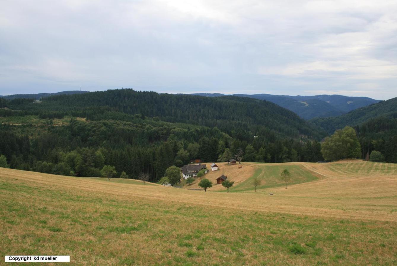Haus Am Waldrand Triberg im Schwarzwald Exterior foto