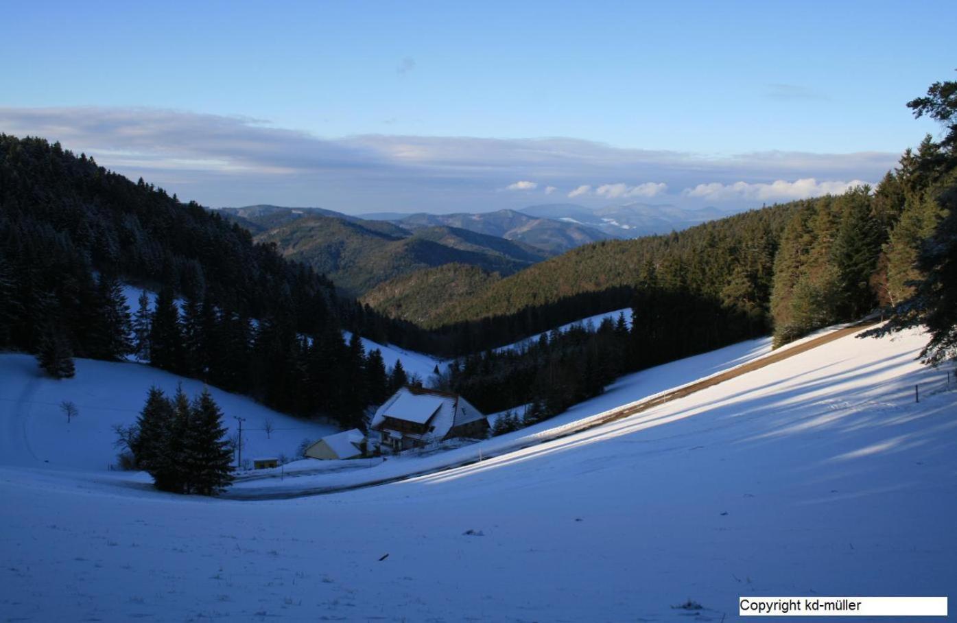 Haus Am Waldrand Triberg im Schwarzwald Exterior foto