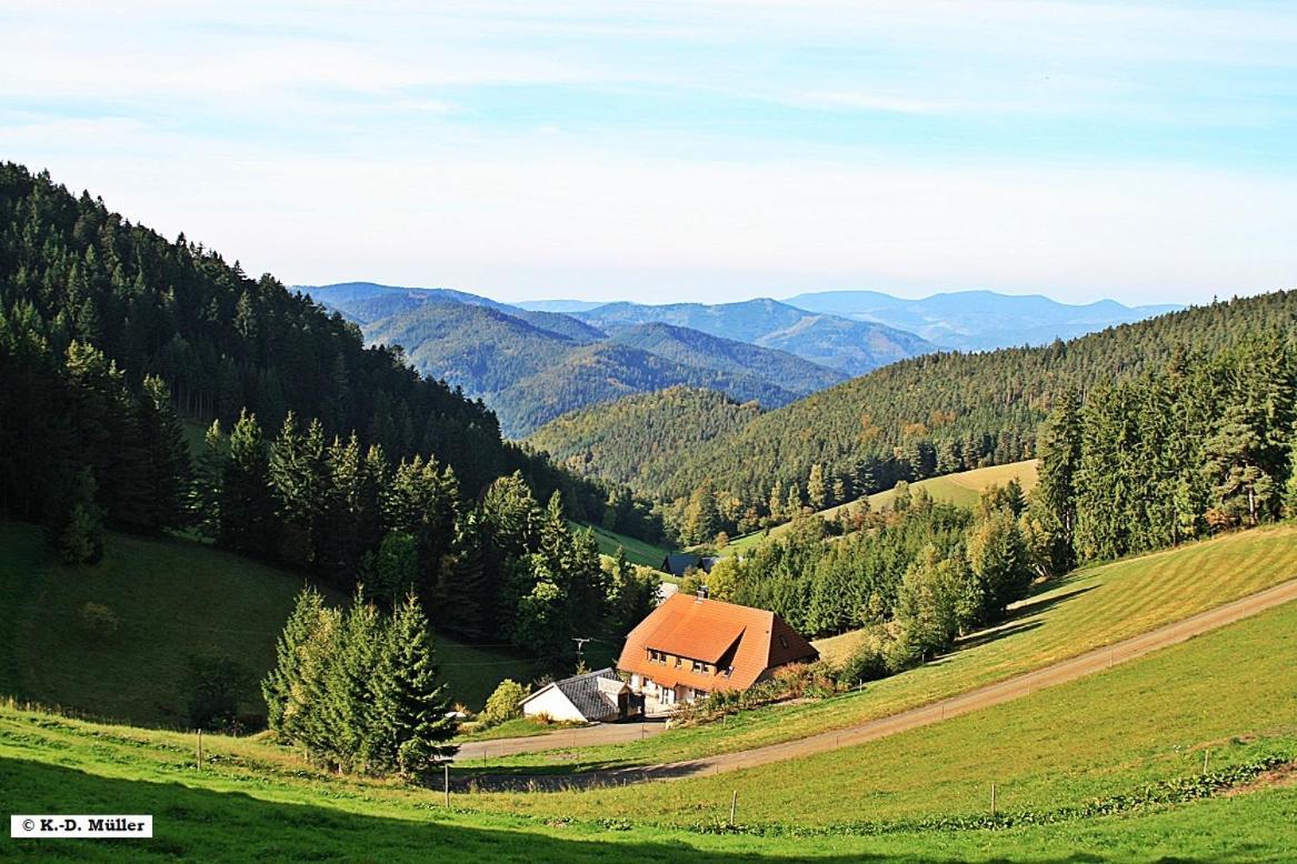 Haus Am Waldrand Triberg im Schwarzwald Exterior foto