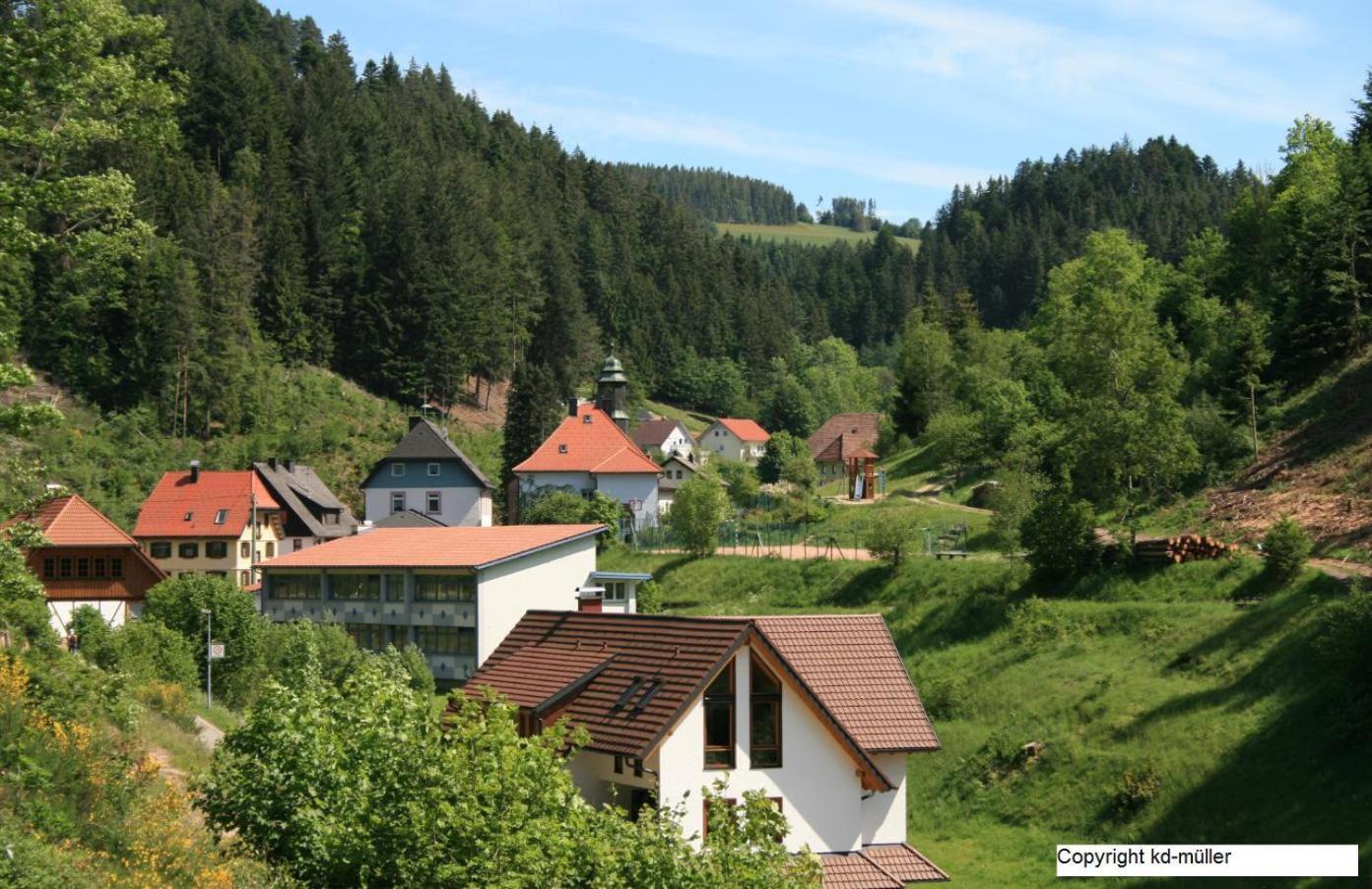 Haus Am Waldrand Triberg im Schwarzwald Exterior foto