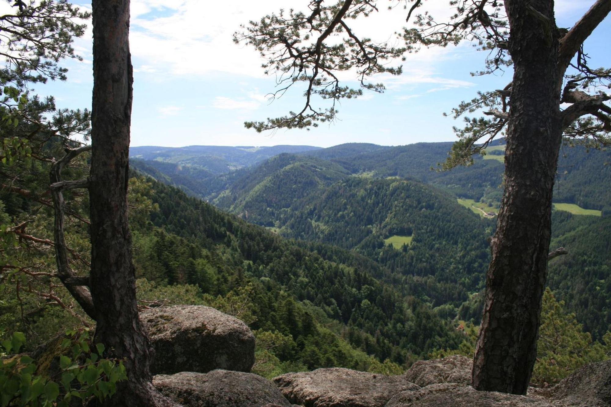 Haus Am Waldrand Triberg im Schwarzwald Exterior foto