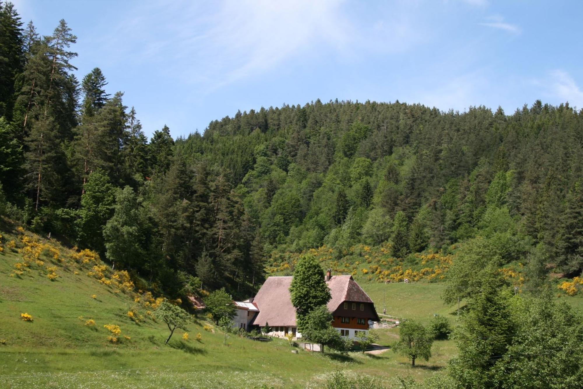 Haus Am Waldrand Triberg im Schwarzwald Exterior foto