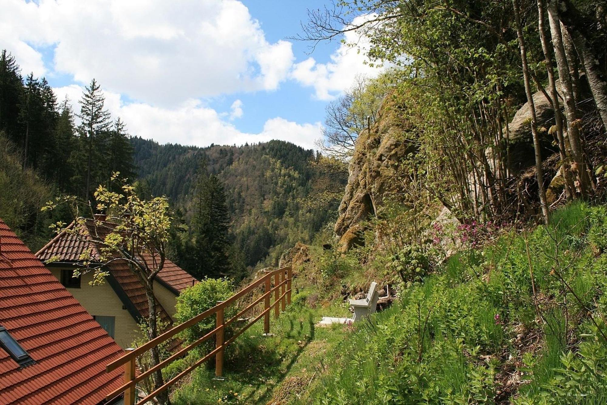 Haus Am Waldrand Triberg im Schwarzwald Exterior foto