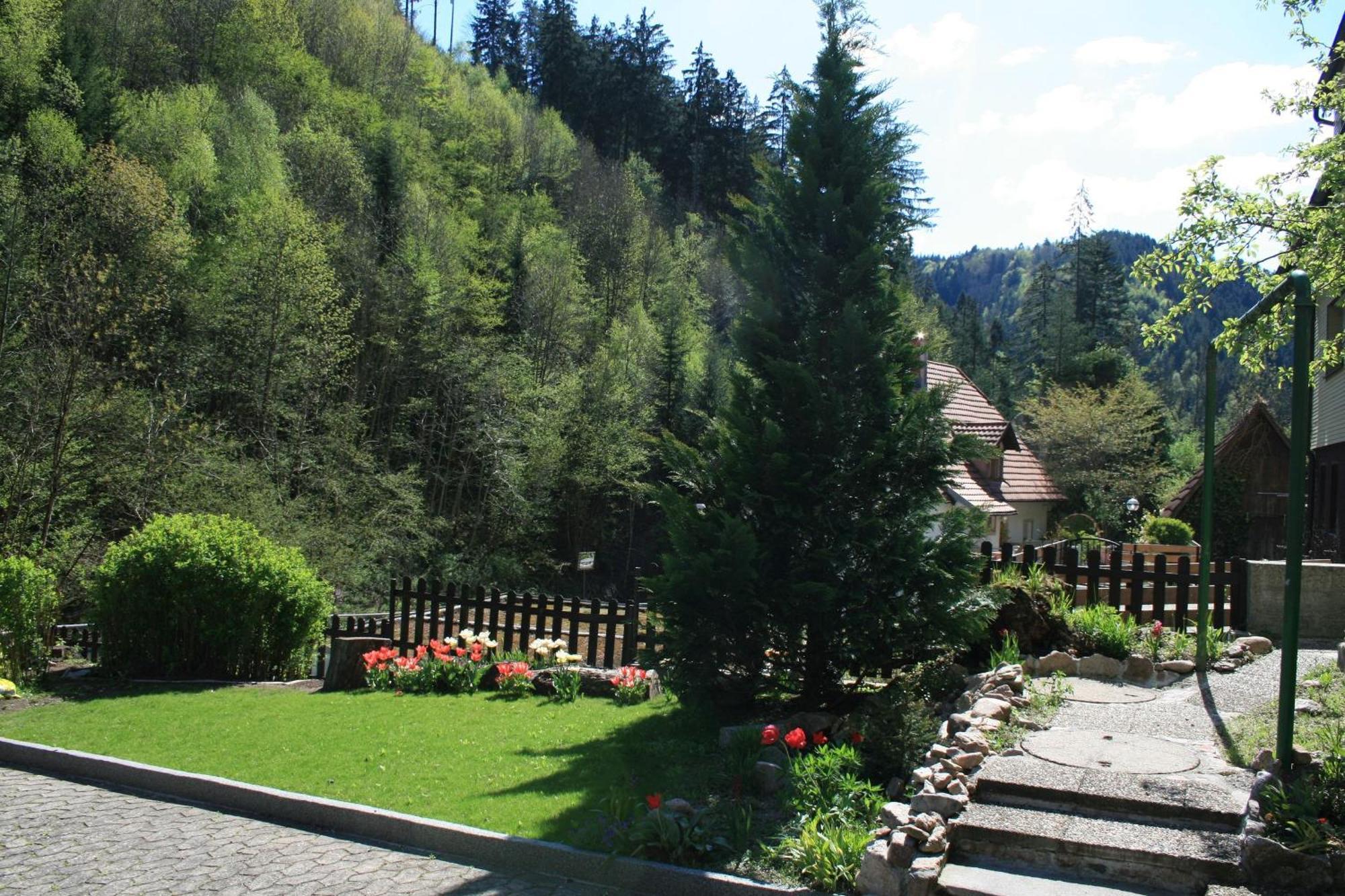 Haus Am Waldrand Triberg im Schwarzwald Exterior foto