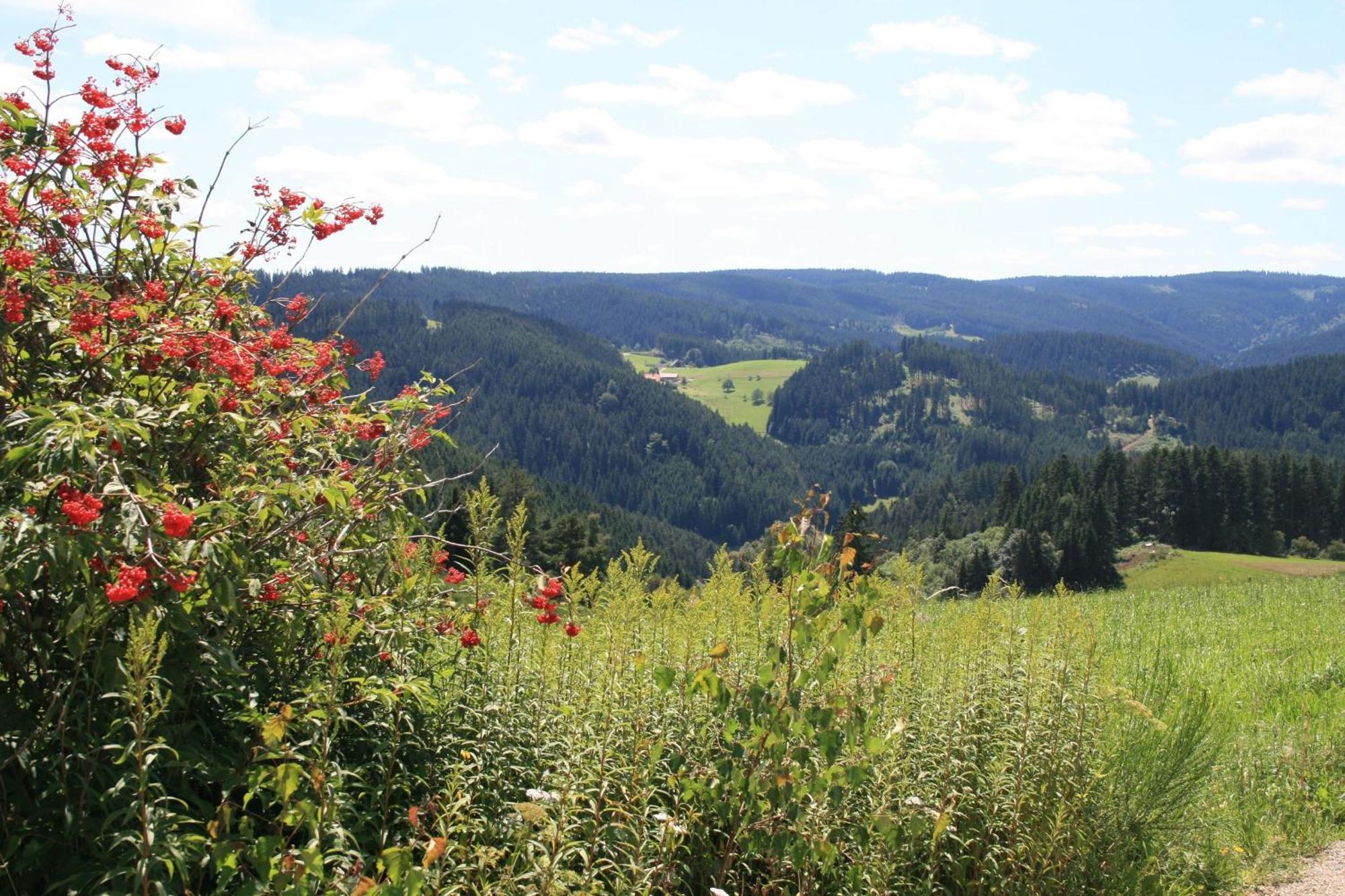 Haus Am Waldrand Triberg im Schwarzwald Exterior foto